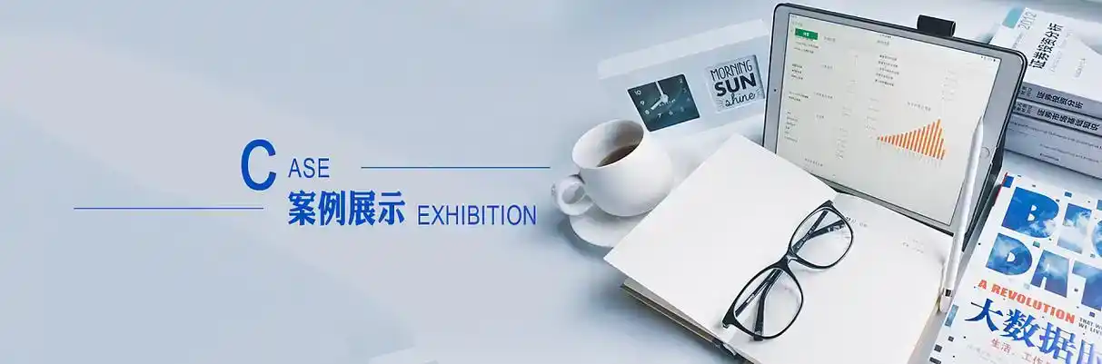 岳阳县软件开发